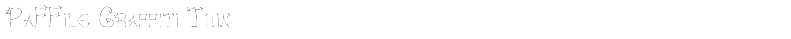 PaFFile Graffiti Thin font preview